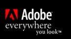 Adobe Systems Incorporated