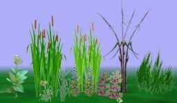 Avatars 2002 - XelaG's plants